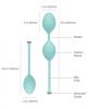 Pillow Talk Frisky Pleasure Balls Kegel Exercisers
