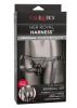 Her Royal Harness The Royal Sensual Set