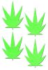 Pastease Petites Glow in the Dark Leaf O/S 2 Pack