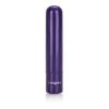 Tiny Teasers Bullet Vibrator Purple