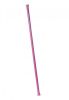 Jesse Jane Feature Dancer Pole