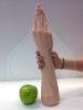 The Hand