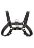 Chest Bulldog Harness - Black/black