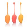 Kegel Training Set 3 Piece