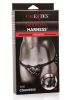 Her Royal Harness Black O/S Boxed
