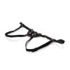 Her Royal Harness Black O/S Boxed