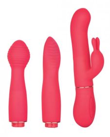 In Touch Trio Pink Vibrator Kit (Option: Dynamic)