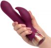 Starstruck Affair Vibrators
