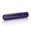 Tiny Teasers Bullet Vibrator