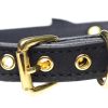 Golden Kitty Cat Bell Collar