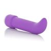 Classic Chic Standard G Purple G-Spot Vibrator