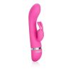 Foreplay Frenzy Vibrator