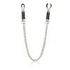 Nipple Play Nipple Clamps