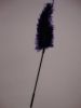 Ostrich feather ticklers